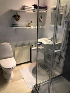 ein Bad mit einem WC und einem Waschbecken in der Unterkunft Airy, cosy guesthouse in Mariager
