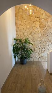 Fotografie z fotogalerie ubytování CasadiCampo v destinaci Scauri