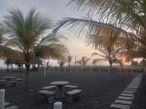 a table and benches on a beach with palm trees at Ph olas tower in Palo Grande