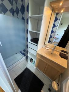 a bathroom with a sink and a shower at Beau studio plein centre ville in Beauvais