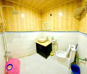 a bathroom with a toilet and a sink at Hikal Guest House in Hunza Valley