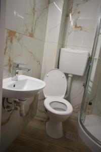 een badkamer met een toilet en een wastafel bij Apartament Nicolae Iorga RHBM in Baia Mare