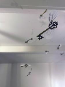 een groep vogels die aan een plafond hangen bij Impasse des Mystères - La maison des Sorciers Léhon/Dinan in Dinan