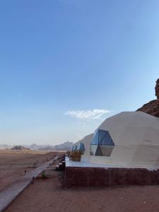 Gallery image of Noof Rum camp in Disah +8 photos