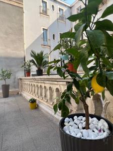 卡塔尼亚San Giuliano Palace的相册照片