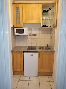 維勒瑞夫的住宿－masar confort，一间带水槽和微波炉的小厨房
