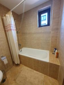 Bagno di Apartment ZAX B7 in Terra Complex