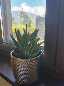 Foto dalla galleria di Apartment ZAX B7 in Terra Complex a Bansko