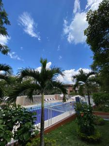 a view of a swimming pool with palm trees at Habitación en Junin 2 Piedecuesta in Piedecuesta