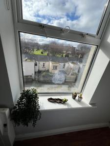 een raam in een kamer met een plant op een vensterbank bij Your Own Home İn The Heart Of The City in Dublin
