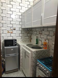 uma pequena cozinha com um lavatório e um fogão em MK Hebergement em Saint-Louis