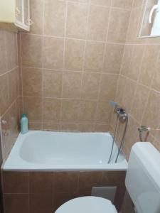 Ванная комната в Mic dormitor informativ turistic