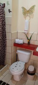 a bathroom with a toilet with a butterfly on the wall at Miriam'S Quetzals lodge in San Gerardo de Dota