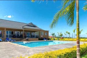 a house with a swimming pool and a palm tree at Your ideal home away from home. in The Rock