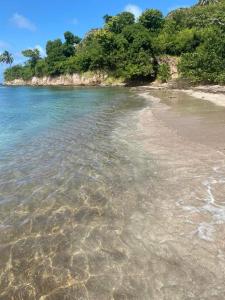 a beach with clear water and trees in the background at Leonor’s Guest House in Providencia