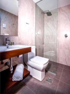 La salle de bains est pourvue de toilettes, d'un lavabo et d'une douche. dans l'établissement Altus Express Hotel, à La Paz