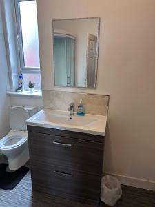 ein Badezimmer mit einem Waschbecken, einem WC und einem Spiegel in der Unterkunft Dunfermline High Street Flat Ideal For Edinburgh& St. Andrews in Dunfermline