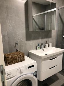a bathroom with a washing machine and a sink at Apartment TAJM in Trebinje