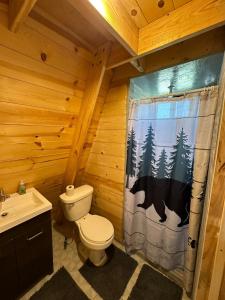 a bathroom with a toilet and a shower curtain at Cabaña El Respiro in El Diamante