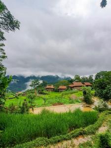 a village in the middle of a green field at Pu Luong Jungle Lodge in Pu Luong