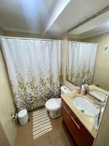 een badkamer met een toilet, een wastafel en een douchegordijn bij Casa de Moneda Downtown in Santiago
