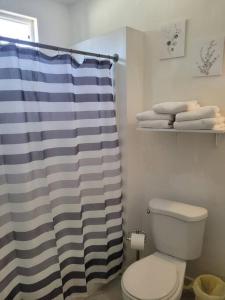 a bathroom with a toilet and a blue and white shower curtain at Contemporary California Bungalow in Brea