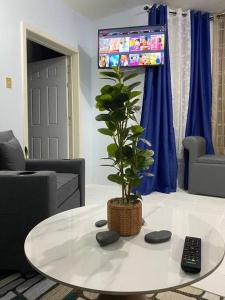 a living room with a table with a plant on it at K2 Aqua Vista Escape in Ocho Rios