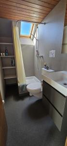 łazienka z toaletą i umywalką w obiekcie Emma's comfy place w mieście Freienbach