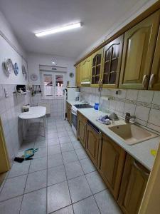 Kuchyňa alebo kuchynka v ubytovaní schönes Ferienhaus mit grossem Pool 1200 m zum Balaton