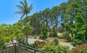 widok na park z drzewami i drogą w obiekcie Large Studio in the heart of Hope Island & Sanctuary Cove w mieście Gold Coast
