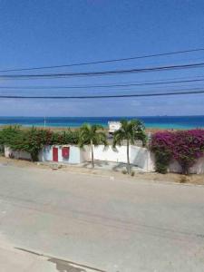 Une rue vide avec des palmiers et l'océan dans l'établissement Casa del Mar Malin, à Ballenita