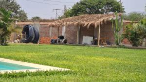 a cat sitting outside of a brick house with a yard at Jardines de Milé in Laredo Hacienda