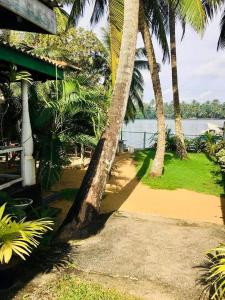 a house with palm trees next to a body of water at River Paradise in Kalutara