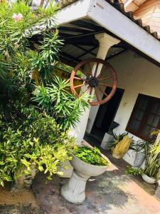 a plant in a pot in front of a house at River Paradise in Kalutara