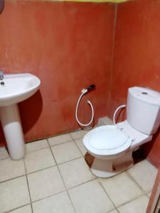 a bathroom with a toilet and a sink at River Paradise in Kalutara