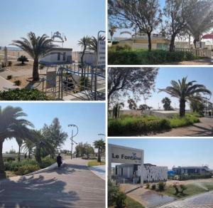 a collage of four pictures of a palm tree at HOTEL CONDOR in Rimini