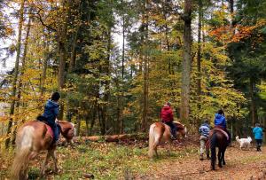 un grupo de personas montando caballos en el bosque en Le Gîte des Chevaliers en Sainte-Croix-aux-Mines