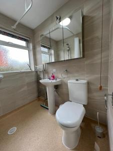 a bathroom with a toilet and a sink and a mirror at Luxury Super King Bed in Stratford-upon-Avon