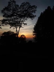 a silhouette of a tree in front of a sunset at Mountain View Home stay in Mirigama