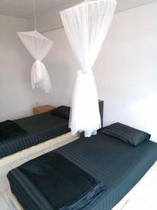 チェンマイにあるLita Guesthouseの白いカーテンが備わる客室のベッド2台