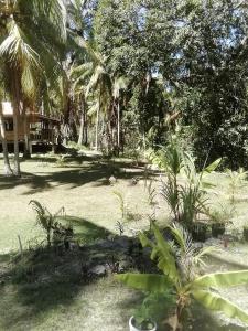 a garden with palm trees and plants in a yard at Era's Garden Homestay in Catmon