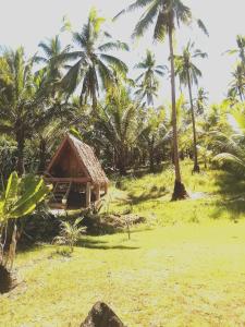 mały domek na polu z palmami w obiekcie Era's Garden Homestay w mieście Catmon