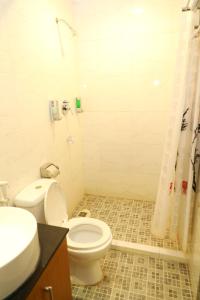 バタム・センターにあるion hotelのバスルーム(白いトイレ、シンク付)