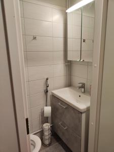 a small bathroom with a sink and a toilet at Kauppakatu 57 - 8 in Varkaus