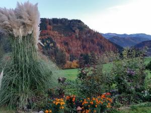Paesaggio naturale nelle vicinanze dell'agriturismo