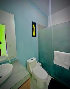 a bathroom with a white toilet and a sink at Recámara con terraza y Firepit privados in Santiago