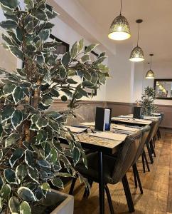 uma sala de jantar com uma mesa e uma planta grande em The Bournbrook Inn em Birmingham