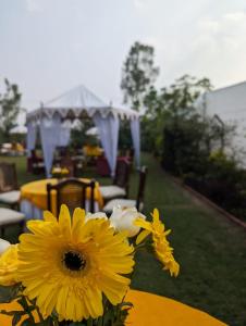 Un jarrón de flores amarillas sobre una mesa. en Baghealam Farm Stay, en Patiala