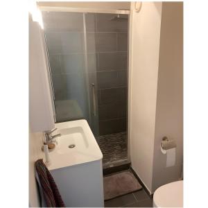 a small bathroom with a sink and a shower at Appartement Cosy- Emplacement Idéal pour les JO ! in Vanves