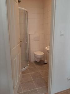 een badkamer met een toilet, een douche en een wastafel bij Wachau - Angenehm ruhiges Zimmer 5 in Mautern